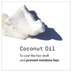 Fekkai Clean Stylers Prime Mist New