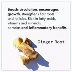 Fekkai Apple Cider Detox Detangling Rinse New