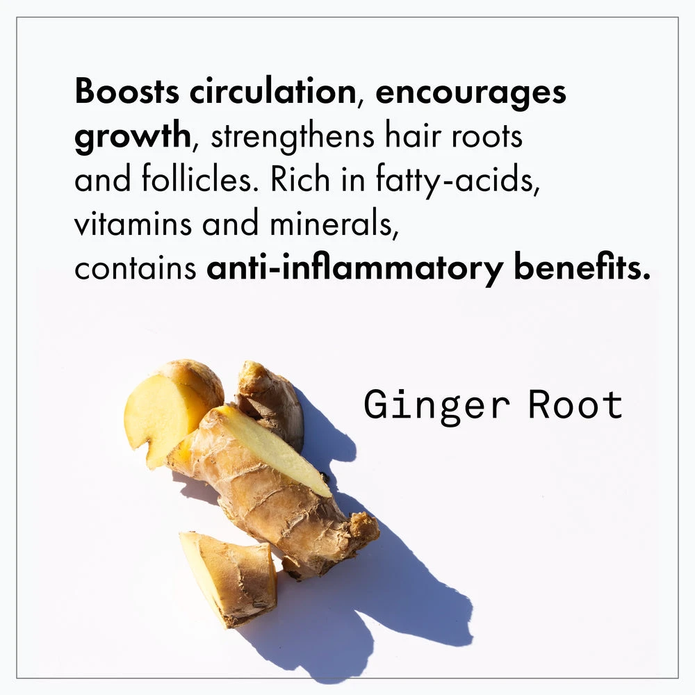 Fekkai Apple Cider Detox Detangling Rinse New