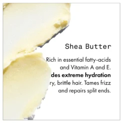 New Fekkai Shea Butter Intense Oil