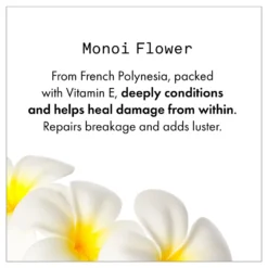 New Fekkai Shea Butter Intense Mask