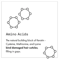 Fekkai Full Blown Volume Dry Texturizing Spray New