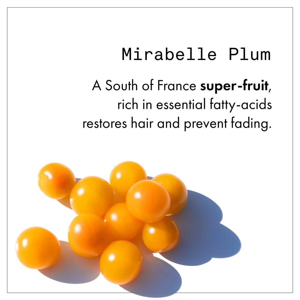 Fekkai Technician Color Conditioner