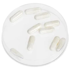 Kryolan Foam Capsules (04047) Kryolan Professional Make-Up