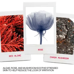 Smashbox Photo Finish Correct Anti Redness Primer Face