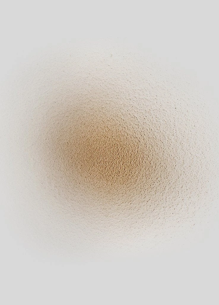 Sachajuan Dark Dry Powder Shampoo (75ml Travel)