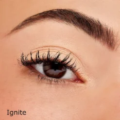 Sigma Eyeshadow Base Primer