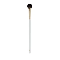 Jillian Dempsey Mini Fan Brush