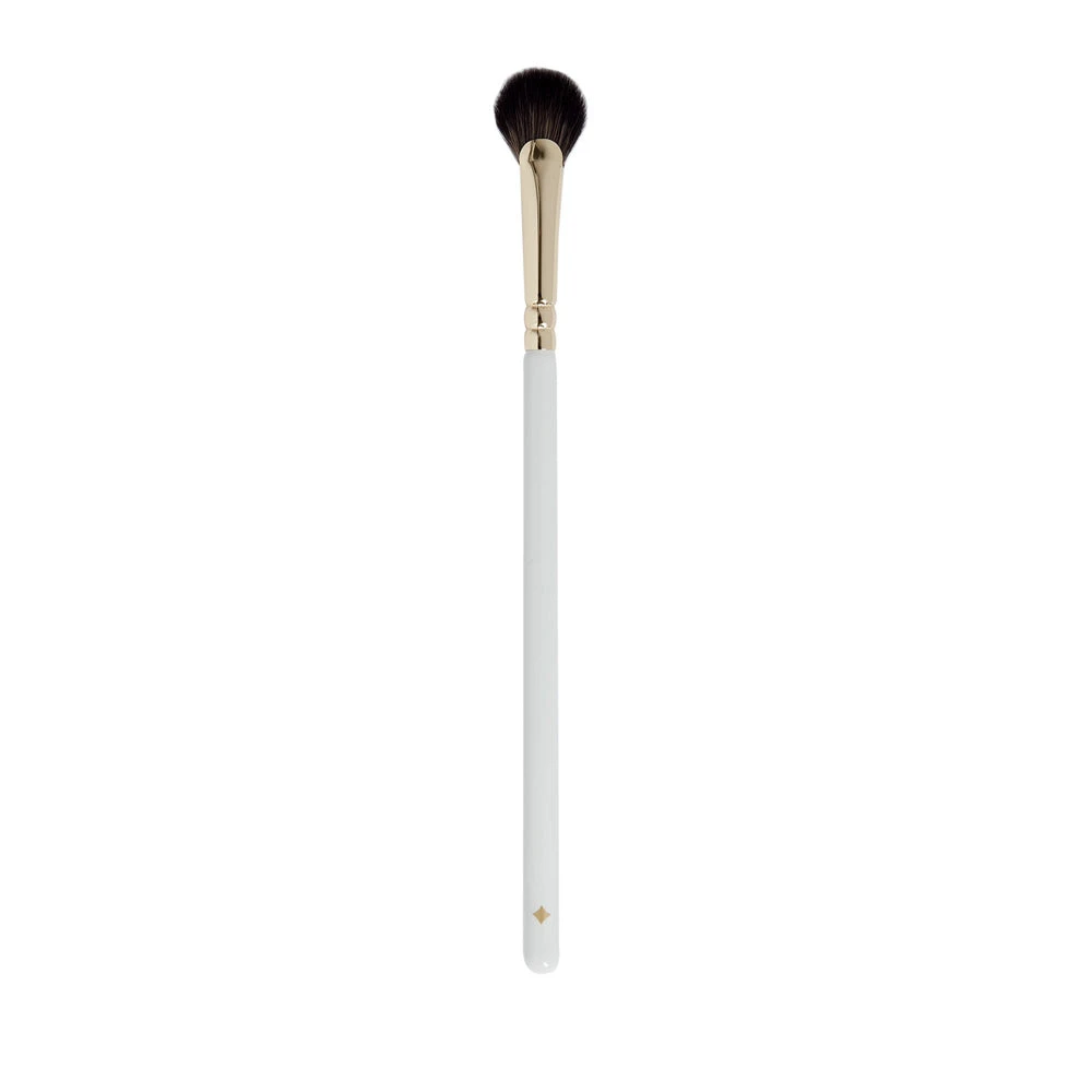 Jillian Dempsey Mini Fan Brush