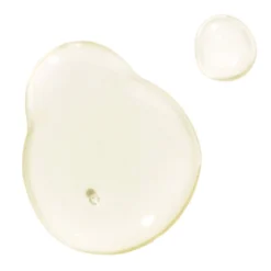 Skincare Kiehl's Since 1851 Midnight Recovery Concentrate 1.0oz/30ml