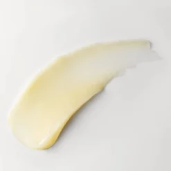 Kiehl's Since 1851 Buttermask For Lips Lip Treatment