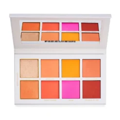 Scott Barnes Chic Cheek N°1 Blush Palette Face